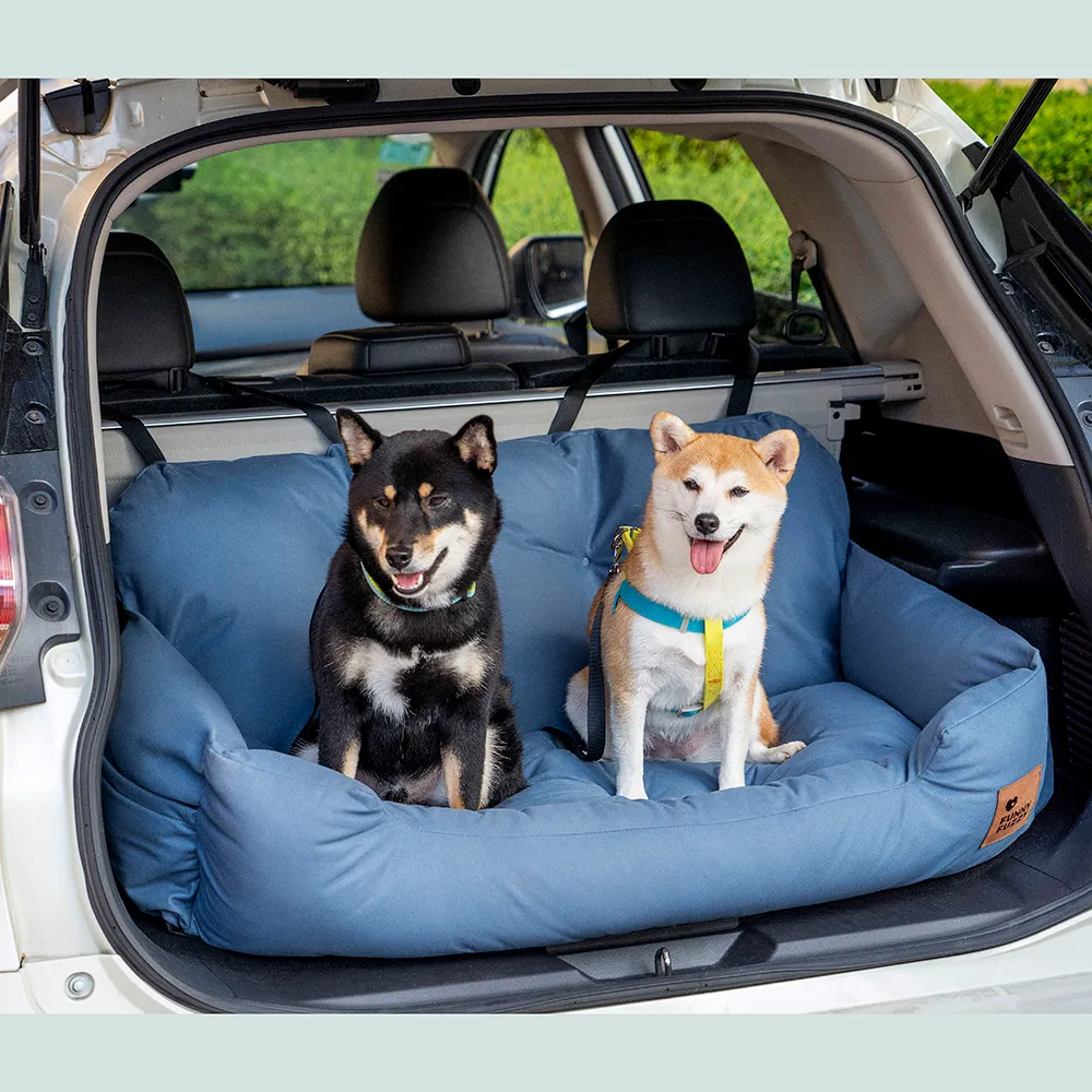 FunnyFuzzy blue dog bed in trunk with two dogs.