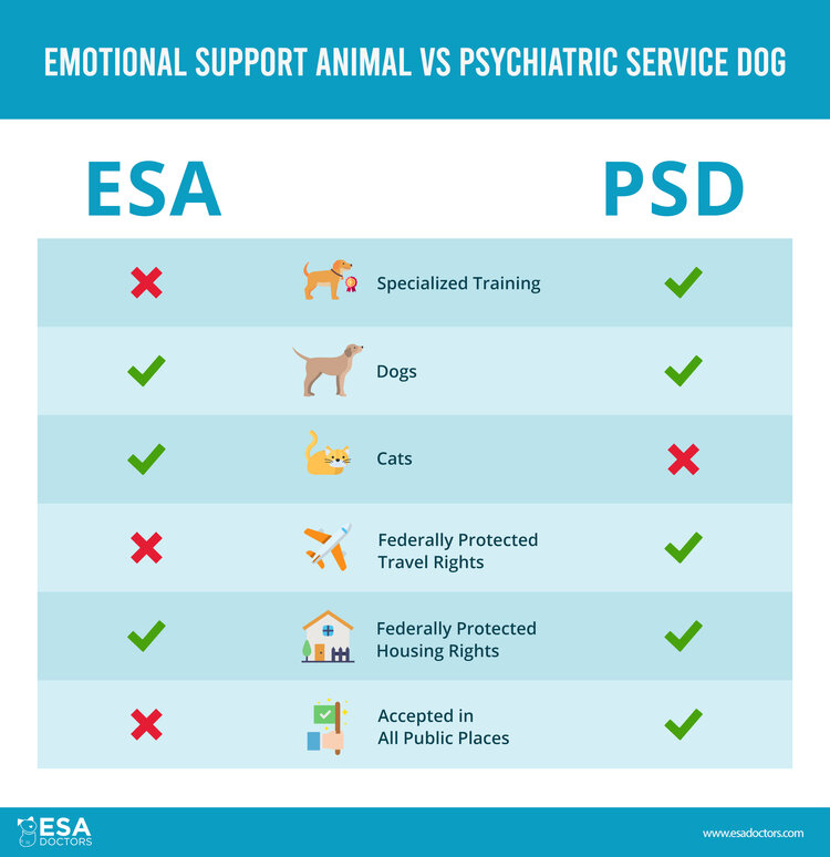Infographic showing the difference between emotional support animals and psychiatric service dogs